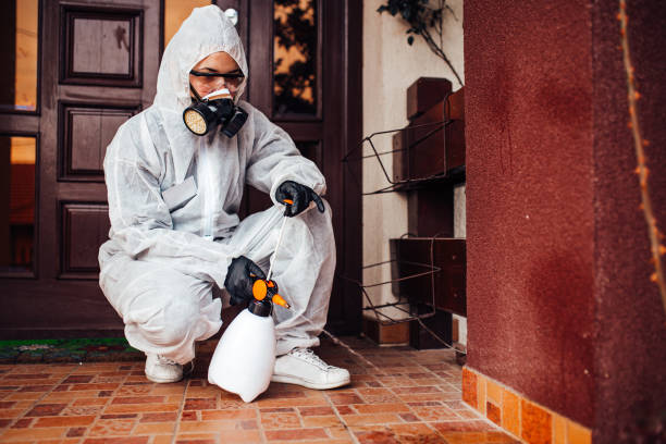 Reliable Wasp Removal contractor in Florence, MT by Show Me Pest Control